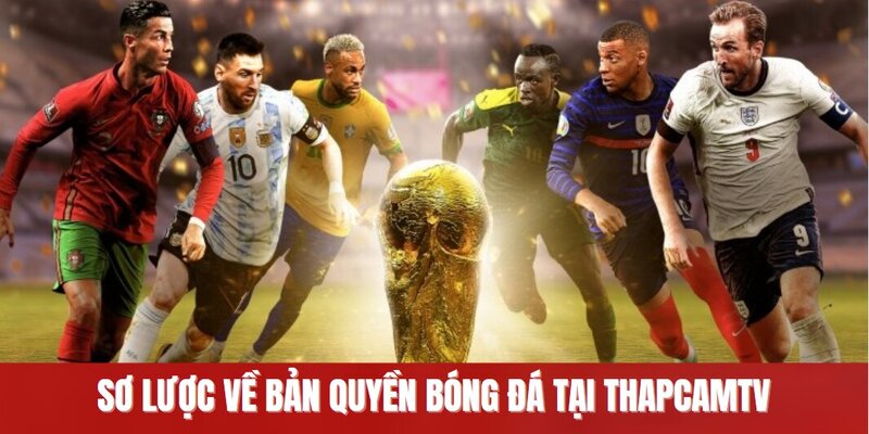 Sơ lược về bản quyền bóng đá tại ThapcamTV