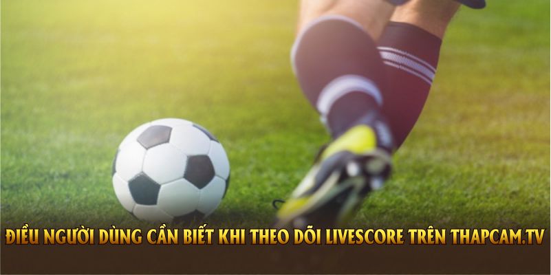Những điều người dùng cần biết khi theo dõi Livescore trên Thapcam.tv