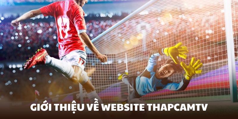 ThapcamTV sẽ là địa chỉ theo dõi bóng đá bạn yêu thích nhất