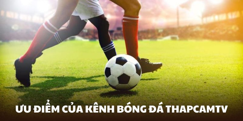 Hàng loạt lợi thế mạnh mẽ giúp ThapcamTV được yêu thích